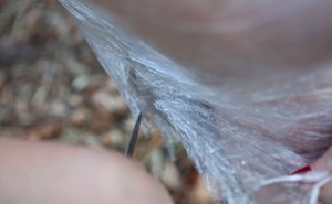 The Life Erotic are excited to present you with xxx gallery showcasing Madison Missina in masturbating scene